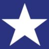 ALLTEX Gun Shows