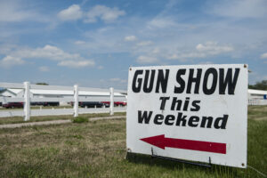 What is a Gun Show